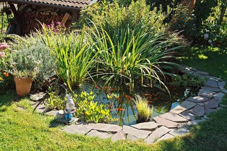 Il nostro laghetto ben curato in giardino