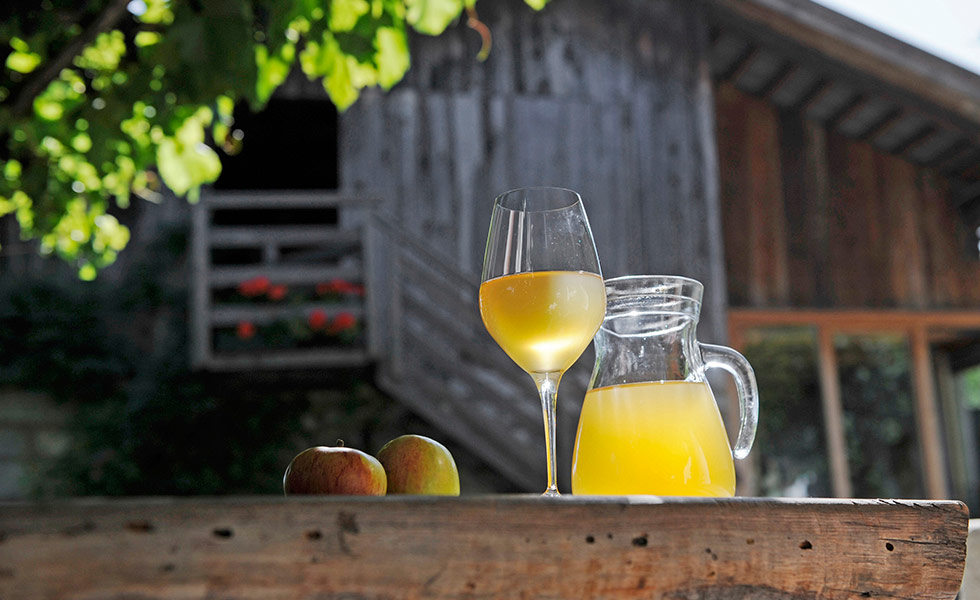 Obstbauernhof in Riffian bei Meran, Passeiertal, Südtirol