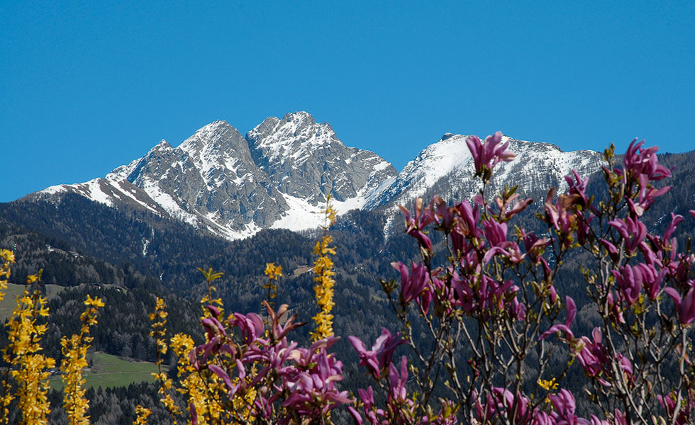 Riffian im Passeiertal in Südtirol