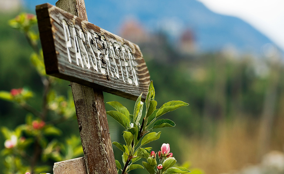 Sonnenhof ✿✿ Urlaub auf dem Bauernhof im Passeiertal - Südtirol